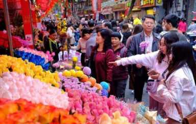 月开什么花（7月开什么花最旺）"