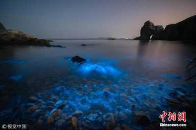 大连荧光海滩（大连荧光海滩图片）