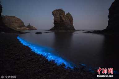 大连荧光海滩（大连荧光海滩图片）