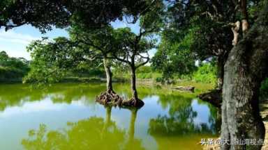 中国十大湿地（中国十大湿地排名）