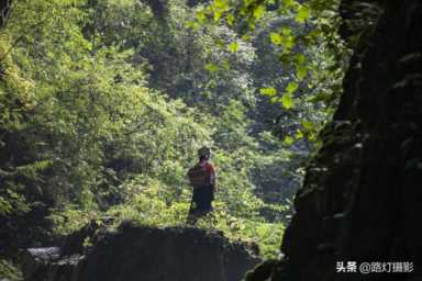 夏天去哪里旅游凉快（夏天国内去哪旅游凉快）插图14