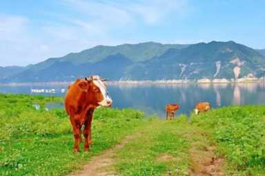 夏天去哪旅游好（夏天去哪旅游好不热）