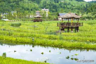 夏天去哪里旅游凉快（夏天国内去哪旅游凉快）