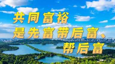 中产阶级标准中国官方（中产阶级标准中国官方2021有多少人）插图6