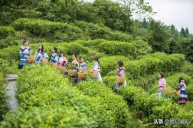 夏天去哪里旅游凉快（夏天国内去哪旅游凉快）