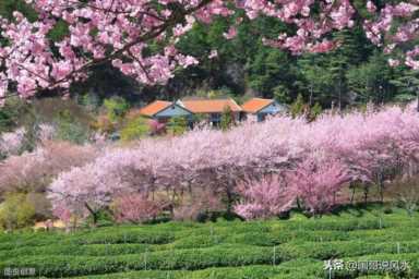 大玄空风水（大玄空风水哪本书最好）