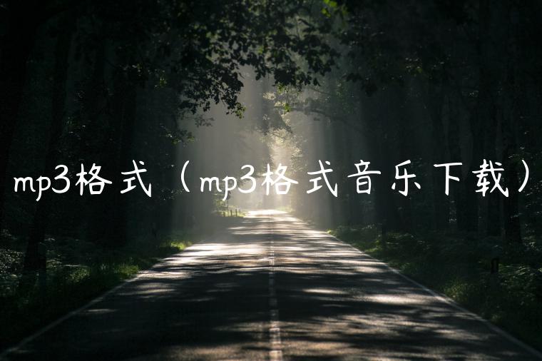 mp3格式（mp3格式音乐下载）