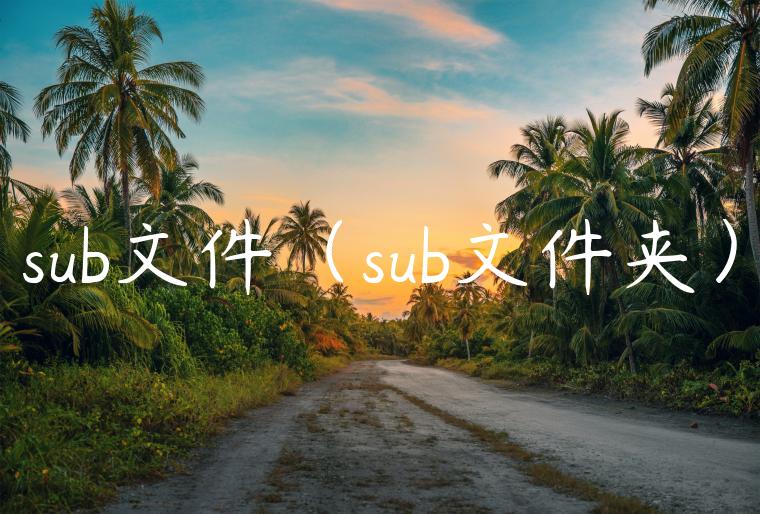 sub文件（sub文件夹）