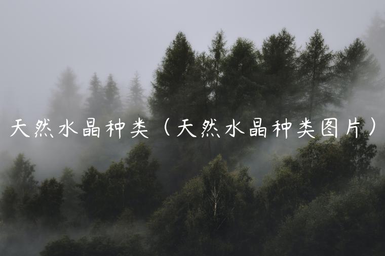 天然水晶种类（天然水晶种类图片）