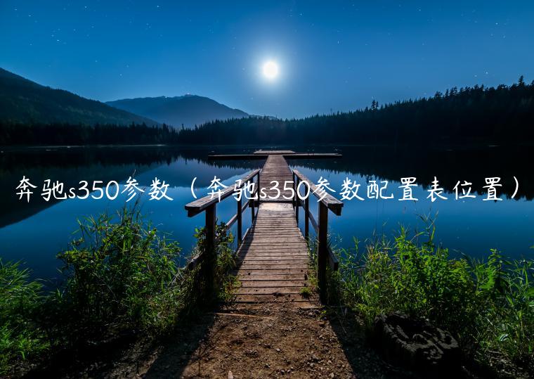 奔驰s350参数（奔驰s350参数配置表位置）