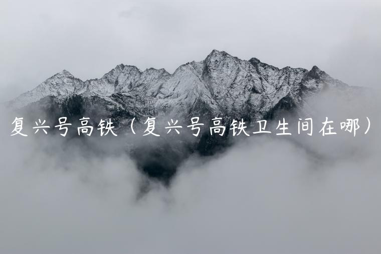 复兴号高铁（复兴号高铁卫生间在哪）