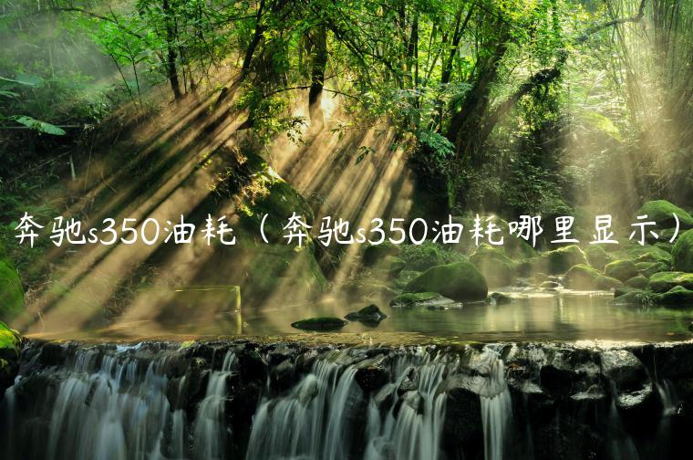 奔驰s350油耗（奔驰s350油耗哪里显示）