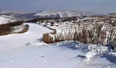 雨和雪的相遇，惊艳了整个冬季，你那里下雪了吗？