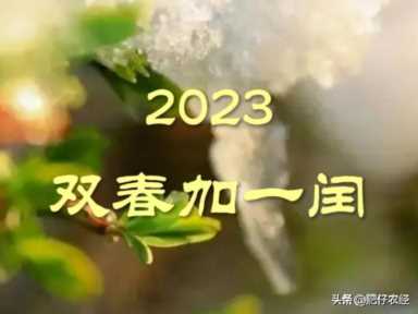 明年癸卯兔年，也被称为黑兔年，有何说法？好不好？一起了解下