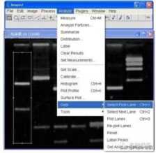 花10分钟学一项技能 ImageJ 图像分析