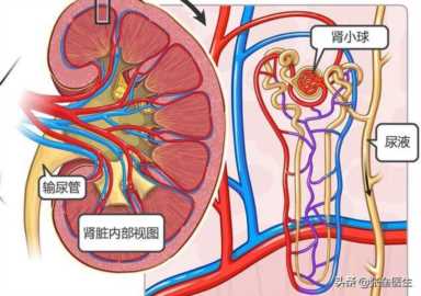 肾不好的5大信号（肾不好的5大信号膀胱）