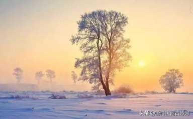 雨和雪的相遇，惊艳了整个冬季，你那里下雪了吗？