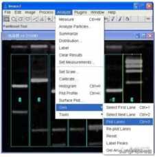 花10分钟学一项技能 ImageJ 图像分析