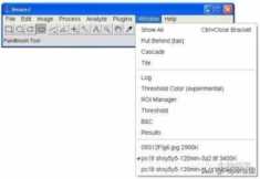 花10分钟学一项技能 ImageJ 图像分析