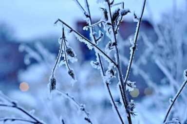 你那边下雪了吗？｜十首雪景诗，好美