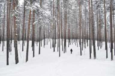 你那边下雪了吗？｜十首雪景诗，好美