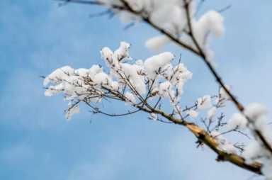 你那边下雪了吗？｜十首雪景诗，好美