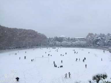 你那边下雪了吗？｜十首雪景诗，好美