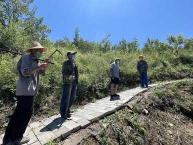 从养鸡到种杏树开民宿，水源保护区里小山村实现了脱低