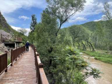 从养鸡到种杏树开民宿，水源保护区里小山村实现了脱低