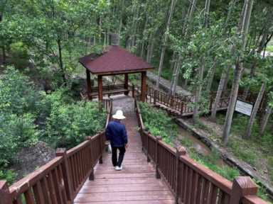 从养鸡到种杏树开民宿，水源保护区里小山村实现了脱低