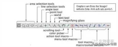 花10分钟学一项技能 ImageJ 图像分析