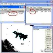 花10分钟学一项技能 ImageJ 图像分析