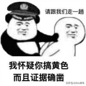 怎么rua 猫才能让它们快乐似神仙？老司机亲手教学