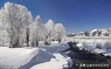 雨和雪的相遇，惊艳了整个冬季，你那里下雪了吗？