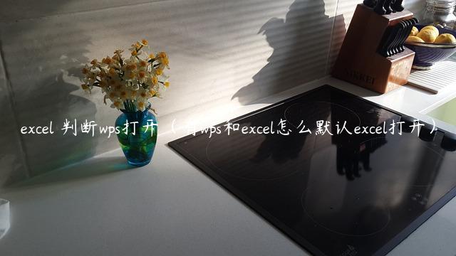 excel 判断wps打开（有wps和excel怎么默认excel打开）