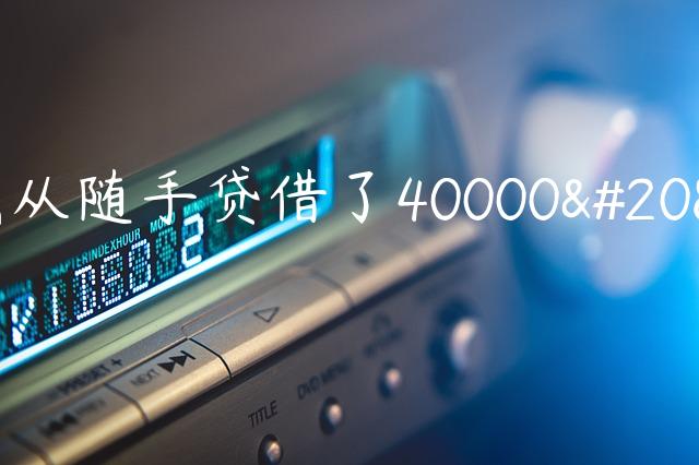 我从随手贷借了40000元