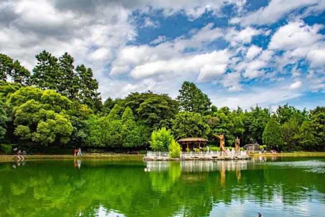 蝴蝶泉在哪里（蝴蝶泉在哪里个城市）