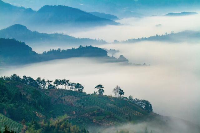 鲁山山行赏析（鲁山山行这首诗）