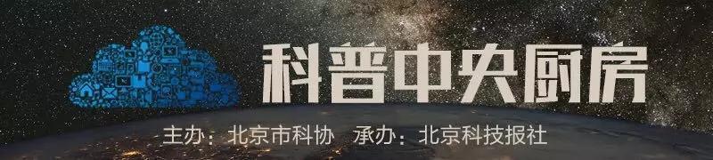 什么叫人肉搜索（人肉网络搜索神器）