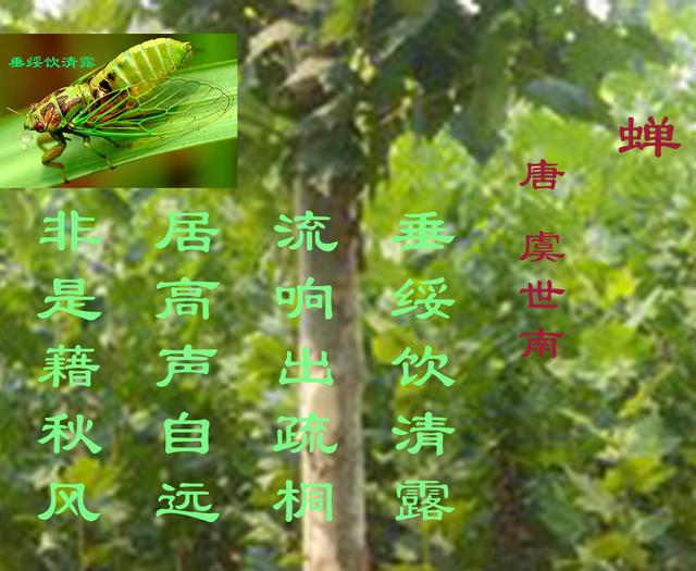 蝉古诗 虞世南（蝉古诗 虞世南表达了什么）