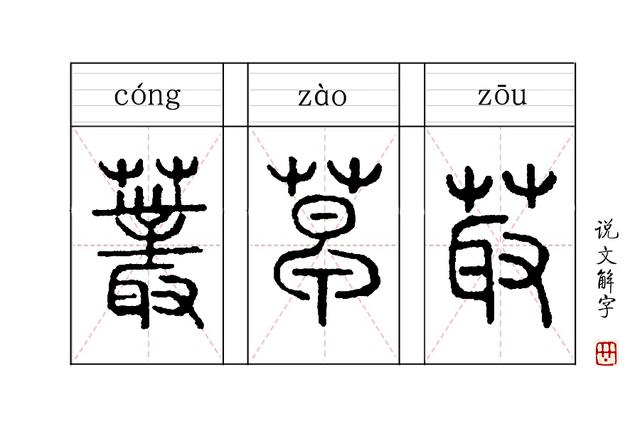 草字头加见（草字头加见读什么字）