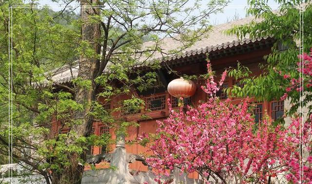 门头沟西峰寺（门头沟西峰寺怎么进去）