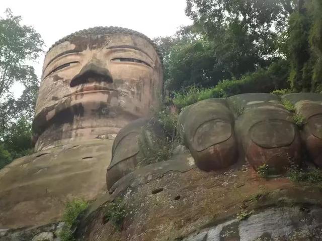 乐山大佛在哪里（请问乐山大佛在哪里）