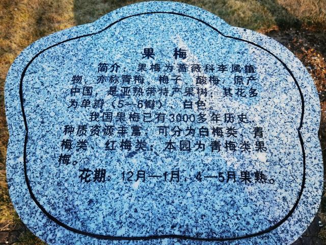 萝岗香雪公园（萝岗香雪公园门票价格-）