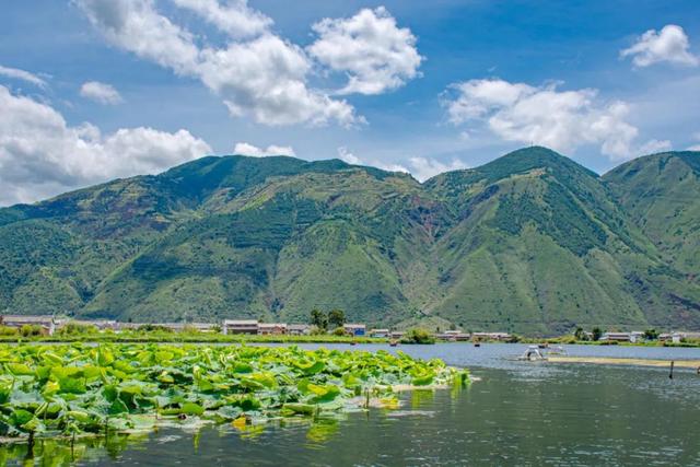 蝴蝶泉在哪里（蝴蝶泉在哪里个城市）