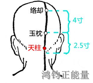 人体常识（人体常识口诀歌讲义）