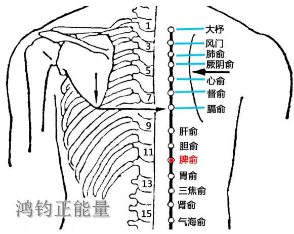 人体常识（人体常识口诀歌讲义）