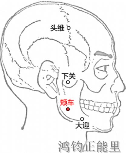 人体常识（人体常识口诀歌讲义）