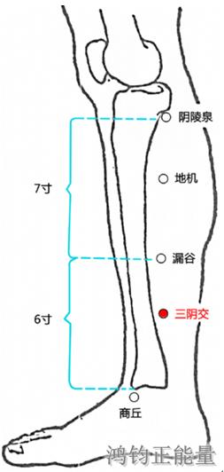 人体常识（人体常识口诀歌讲义）