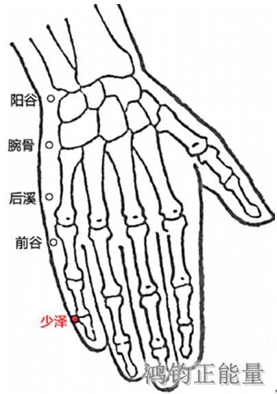 人体常识（人体常识口诀歌讲义）